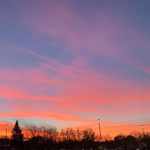 Meet your Posher, Anya